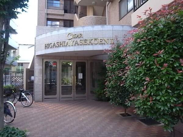 【セザール第二東綾瀬公園】エントランス 【セザール第二東綾瀬公園】エントランス