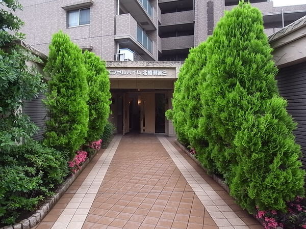 【エンゼルハイム北綾瀬第2】エントランス 【エンゼルハイム北綾瀬第2】エントランス