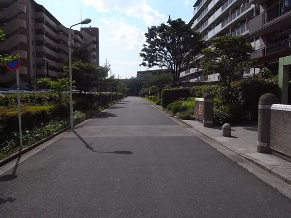 【すまいる亀有】前面道路 【すまいる亀有】前面道路