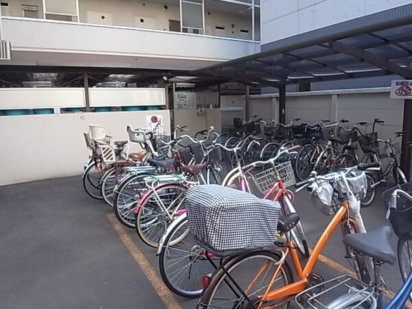 ソフトタウン新小岩