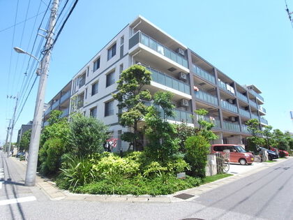 外観 外観