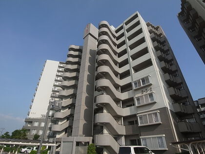 千葉ニュータウンコロネード原山