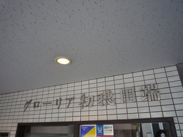 グローリア初穂田端 2枚目 グローリア初穂田端