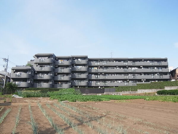 【ライオンズヒルズ成増】外観写真 【ライオンズヒルズ成増】外観写真