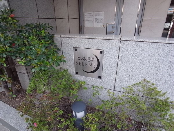 【セレネ成増】外観写真