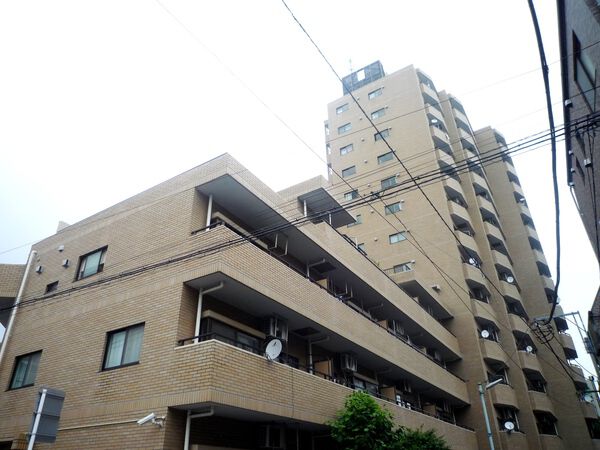 シャロン志村坂上