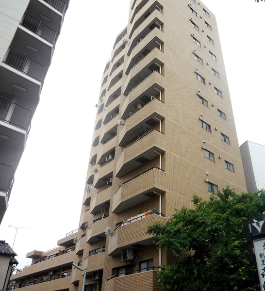 シャロン志村坂上 3枚目 シャロン志村坂上