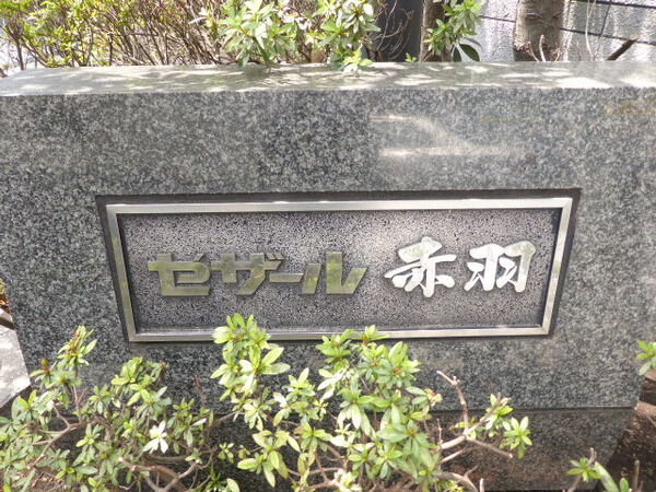 【セザール赤羽】エンブレム