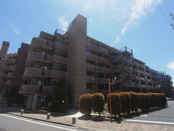 【日神パレステージ橋本第2】落着きあるブラウンタイル貼 【日神パレステージ橋本第2】落着きあるブラウンタイル貼