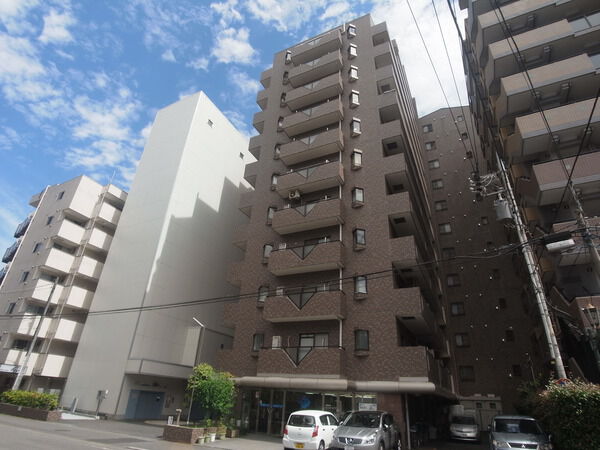 【ドラゴンマンション橋本5番館】落着きあるブラウンタイル貼 【ドラゴンマンション橋本5番館】落着きあるブラウンタイル貼