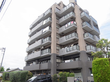 周辺は戸建が佇む閑静な住環境