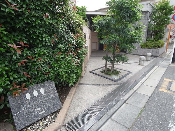 【ネバーランド国立】エントランス