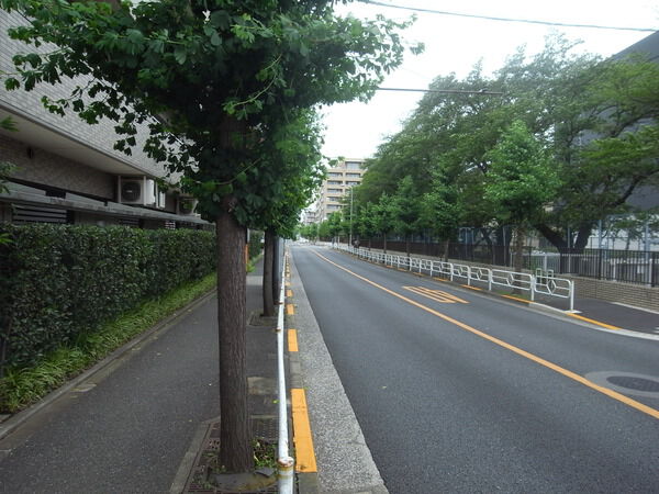【サンティール三鷹サウスウィングス】前面道路 【サンティール三鷹サウスウィングス】前面道路