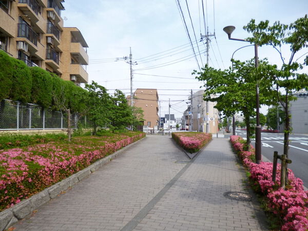 ライオンズマンション調布の森