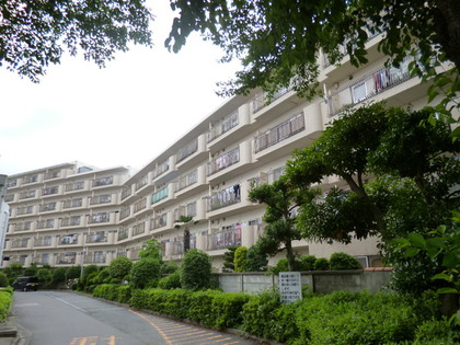 豊栄アンバサダ―調布