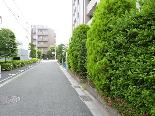 グランヒルズ調布ヶ丘ブローディア