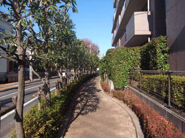 アドリーム分倍河原