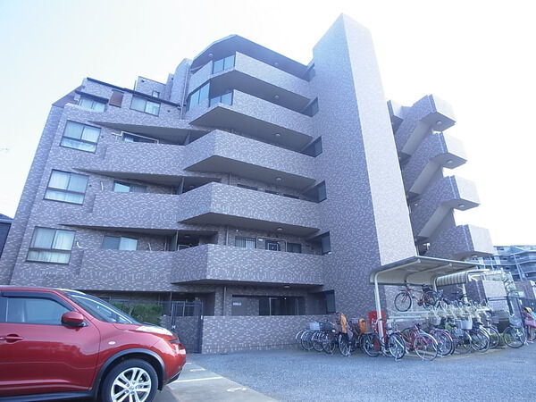 ルピナス朝霞ガーデンフィールド 3枚目 ルピナス朝霞ガーデンフィールド