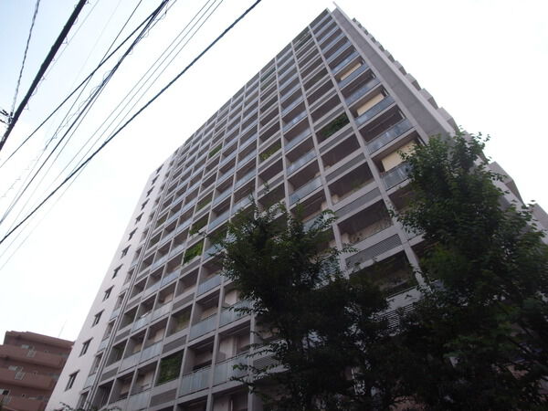 【エコヴィレッジ朝霞本町】エコヴィレッジ朝霞本町  【エコヴィレッジ朝霞本町】エコヴィレッジ朝霞本町