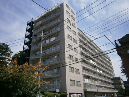 外観 外観