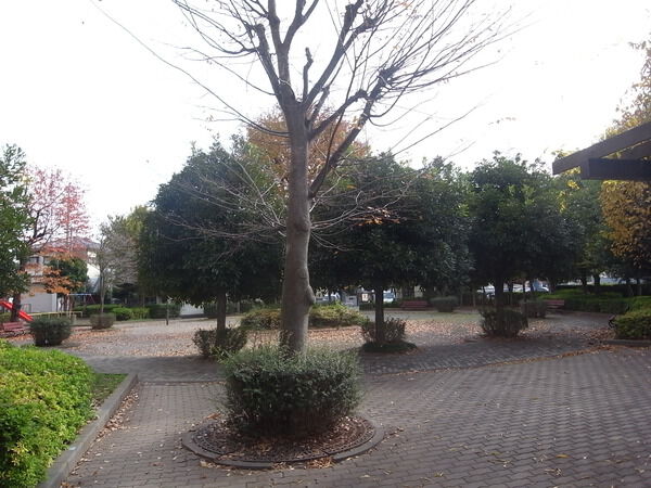 【サンマンション北本】敷地内公園