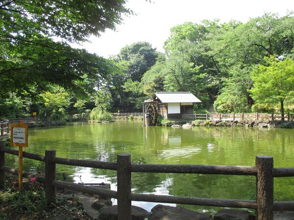 シャトレー松濤