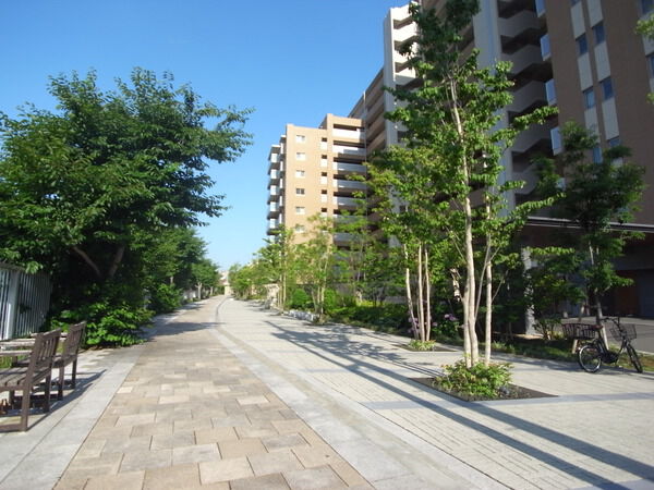 【サンクタス南品川】前面道路