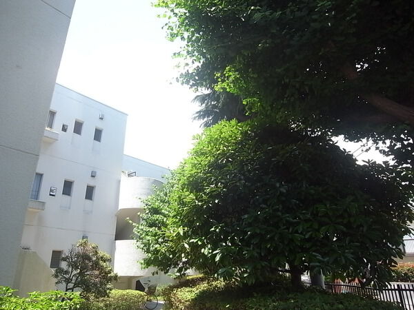 コートハウス上野毛 3枚目 コートハウス上野毛