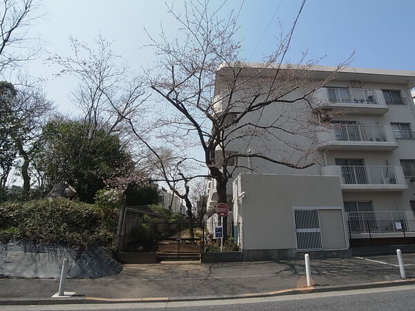 上用賀スカイマンション 3枚目 上用賀スカイマンション