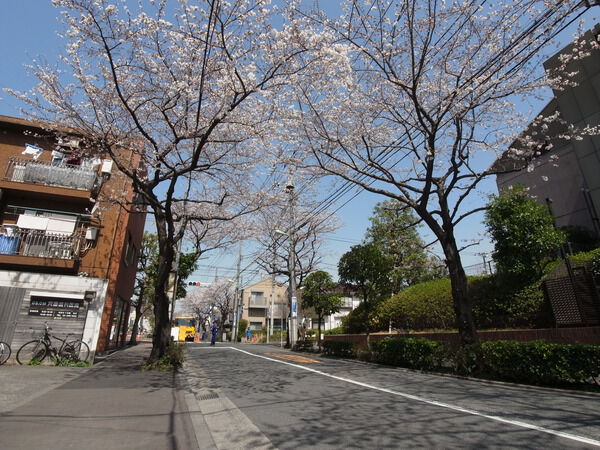 【東急ドエルアルス上用賀Ⅲ】前面道路