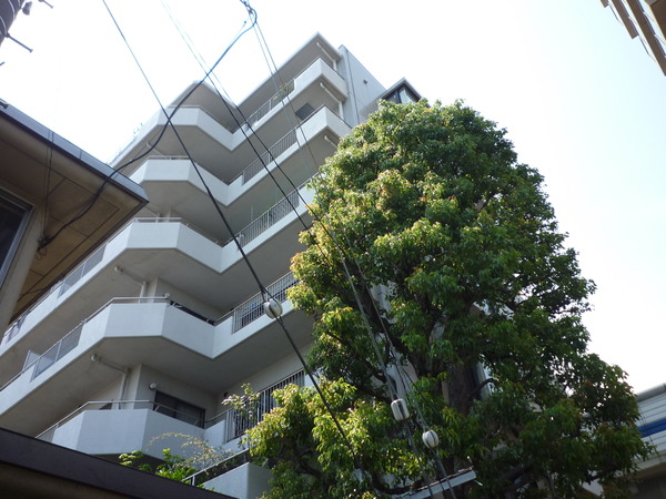 コートアコート深沢