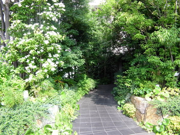 【グランドメゾン三軒茶屋プレイス】エントランスへのアプローチ 【グランドメゾン三軒茶屋プレイス】エントランスへのアプローチ