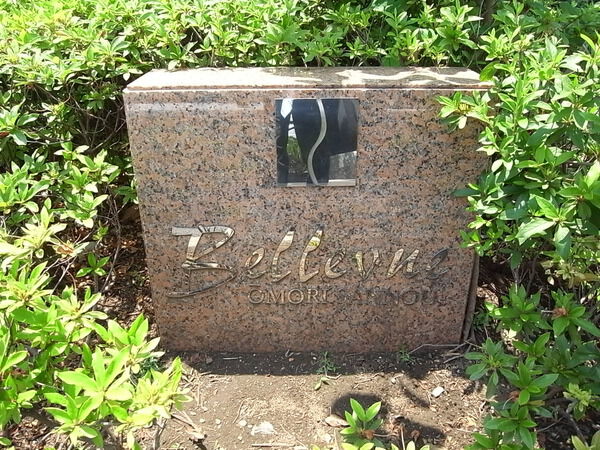 【ヴェルビュ大森山王】エンブレム 【ヴェルビュ大森山王】エンブレム