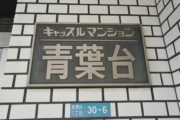 キャッスルマンション青葉台