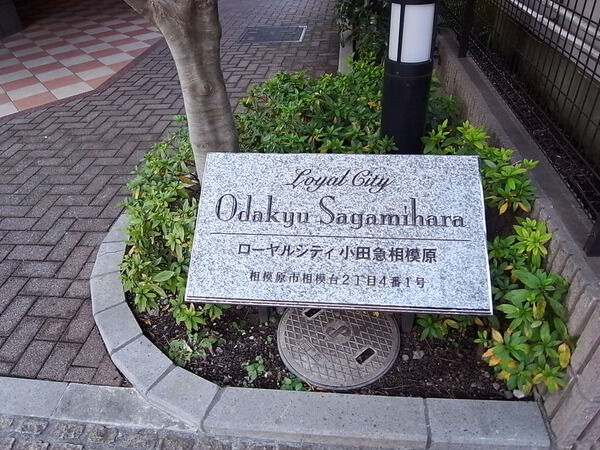 ローヤルシティ小田急相模原