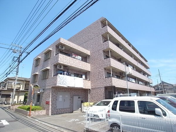 ルピナス相模が丘