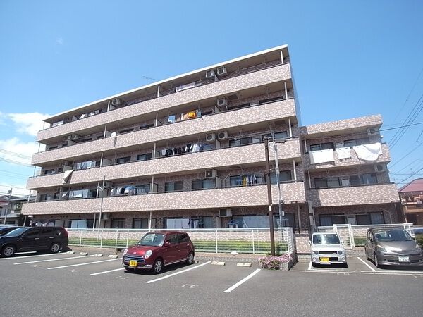 ルピナス相模が丘