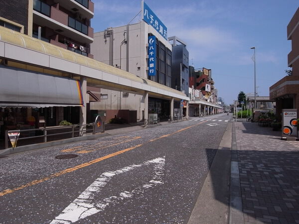 【グランドヒルズ淵野辺Ⅱ】前面道路