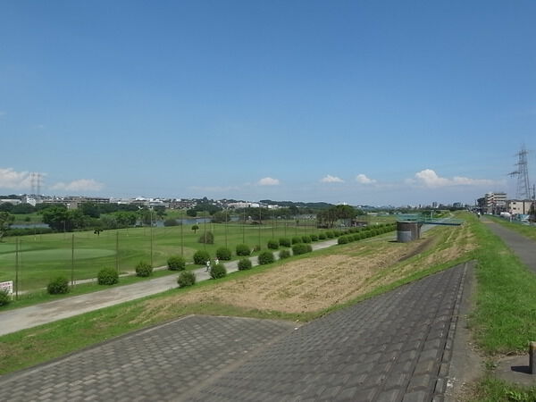 【セレナハイム等々力公園】周辺環境