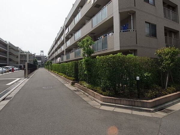 【センチュリー武蔵新城】前面道路 【センチュリー武蔵新城】前面道路