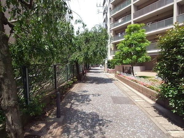 【グランシーナ溝の口】外観 【グランシーナ溝の口】外観