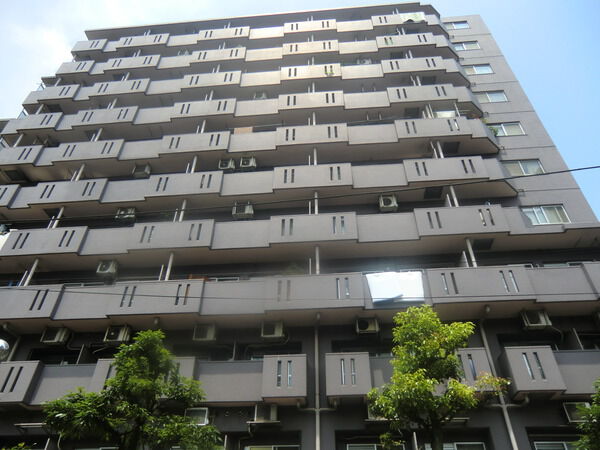 モンテベルデ横浜 3枚目 モンテベルデ横浜