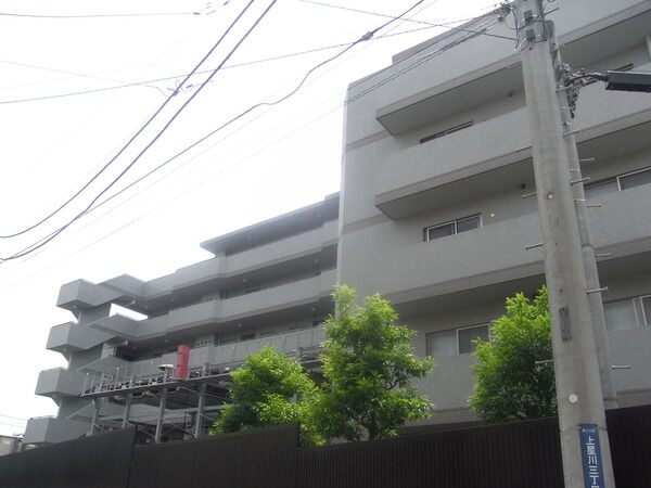 ルピナス上星川