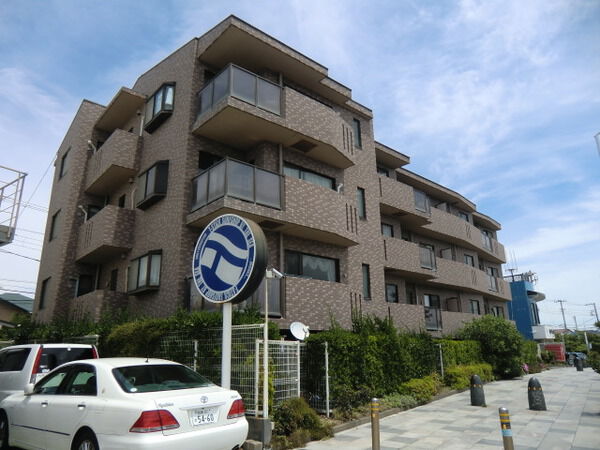 ルピナス湘南海岸