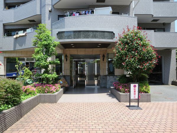 メディウス藤沢