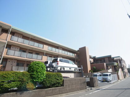 サングレイス中田南