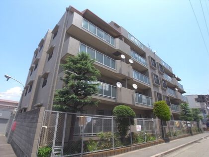 外観 外観