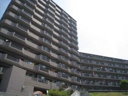 パインフィールド緑地公園 7枚目 パインフィールド緑地公園