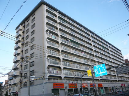 外観 外観