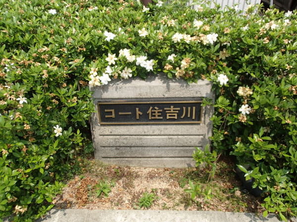 コート住吉川